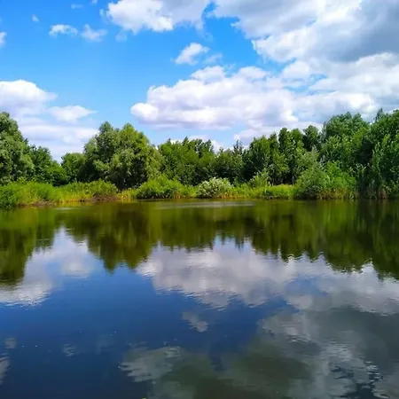 Fishka осокорки Летний дом Киев