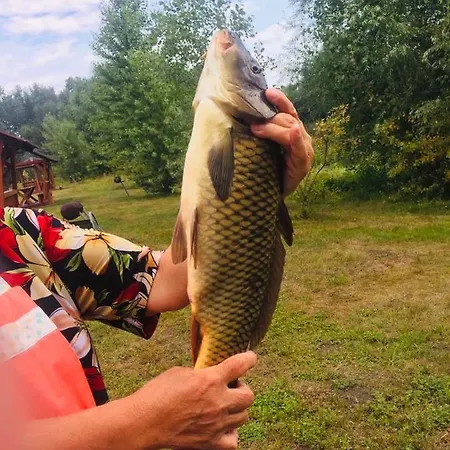 Fishka осокорки *